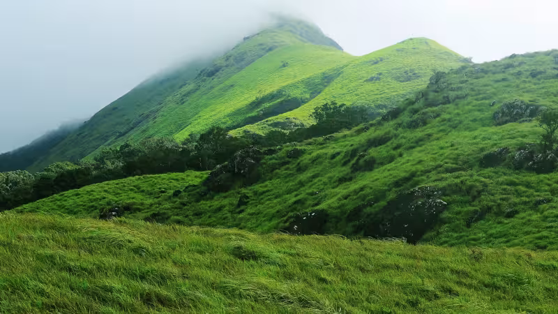 Chembra Peak